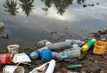 Poluição plástica: tecnologias para lidar com microplásticos e macroplásticos, mas falta direcionamento financeiro e humano para avanço e implementação. A Rede Oceano Limpo luta pela construção de um oceano mais limpo e saudável.