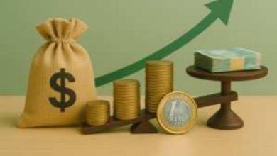 Investimento tradicional e conservador, renda fixa oferece receita regular e previsível. Entenda as opções de CDB, LCI e LCA, taxas de juros e riscos, e escolha a melhor opção para seu perfil de risco e objetivo de investimento com a XP.