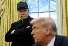 Tesla's stock plummets over 7% after Trump reportedly says Elon Musk will step down as special advisor, sparking concerns over Musk's influence and the company's future.
