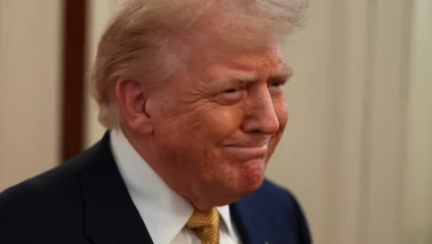 Tarifas americanas sob o governo Trump devastam o setor citrícola brasileiro, forçando fábricas a reduzirem atividades e produtores a deixarem laranjas apodrecerem. Preços caem vertiginosamente, ameaçando o futuro da produção e destacando a fragilidade da economia brasileira.