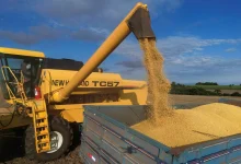 Here is the Meta Description: O crescimento nas importações de soja do Brasil e EUA reflete a guerra comercial e a safra 2024/25. A China aumentou suas compras de soja do Brasil em 9% e a ANA prevê uma safra de soja brasileira de 121,2 milhões de toneladas, com impactos na oferta e demanda.