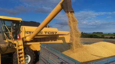 Here is the Meta Description: O crescimento nas importações de soja do Brasil e EUA reflete a guerra comercial e a safra 2024/25. A China aumentou suas compras de soja do Brasil em 9% e a ANA prevê uma safra de soja brasileira de 121,2 milhões de toneladas, com impactos na oferta e demanda.