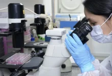 Descoberta promissora no combate ao melanoma: estudo brasileiro testa composto de metal raro eficaz na eliminação de células de tumor agressivo sem danificar células saudáveis, abrindo caminho para tratamentos mais seguros e eficazes.