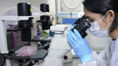 Descoberta promissora no combate ao melanoma: estudo brasileiro testa composto de metal raro eficaz na eliminação de células de tumor agressivo sem danificar células saudáveis, abrindo caminho para tratamentos mais seguros e eficazes.