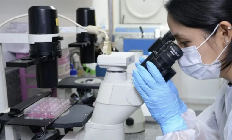 Descoberta promissora no combate ao melanoma 1 Descoberta promissora no combate ao melanoma: estudo brasileiro testa composto de metal raro eficaz na eliminação de células de tumor agressivo sem danificar células saudáveis, abrindo caminho para tratamentos mais seguros e eficazes.