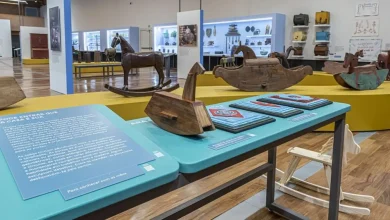 A Universidade de São Paulo oferece atividades gratuitas para todas as idades, incluindo exposições, apresentações culturais e oficinas de arte, dentro e fora de seus campi, na capital e no interior.
