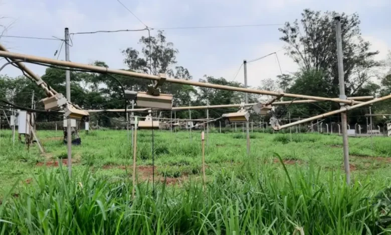 Bactérias em Sementes: Protegendo Plantas Contra o Aquecimento Global 1 Pesquisadores da USP descobriram que aplicar bactérias em sementes pode proteger plantas contra o aquecimento global. Essa técnica melhora a resistência a secas e altas temperaturas, promovendo a absorção de nutrientes e água. Uma solução natural para agricultura sustentável e segurança alimentar.
