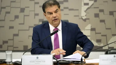 O presidente da Comissão de Relações Exteriores do Senado Federal destaca a importância da diplomacia institucional para mitigar o impacto das restrições sanitárias sobre as exportações brasileiras, proteger os interesses do país e promover o desenvolvimento econômico.