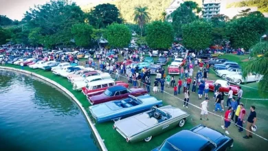 Descubra o estado de São Paulo, líder em feiras de carros antigos, com eventos como Encontro de Carros Antigos de Aguas de Lindoia, Feira de Carros Antigos de Campinas e Feira de Carros Antigos de São Paulo, reuniões de carros históricos, workshops e compras.