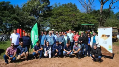 A Secretaria de Agricultura do Estado de São Paulo desenvolve um programa de treinamentos intensivos para prevenir e combater incêndios em assentamentos, educando a população sobre controle do fogo e técnicas eficazes para minimizar riscos.