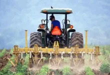Investimentos do Governo de São Paulo em programas agrícolas impulsionam o setor, oferecendo linhas de crédito com juros baixos para aquisição de máquinas e sistemas de irrigação, reduzindo a carga financeira e aumentando a produtividade e competitividade da agricultura paulista.