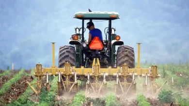 Investimentos do Governo de São Paulo em programas agrícolas impulsionam o setor, oferecendo linhas de crédito com juros baixos para aquisição de máquinas e sistemas de irrigação, reduzindo a carga financeira e aumentando a produtividade e competitividade da agricultura paulista.
