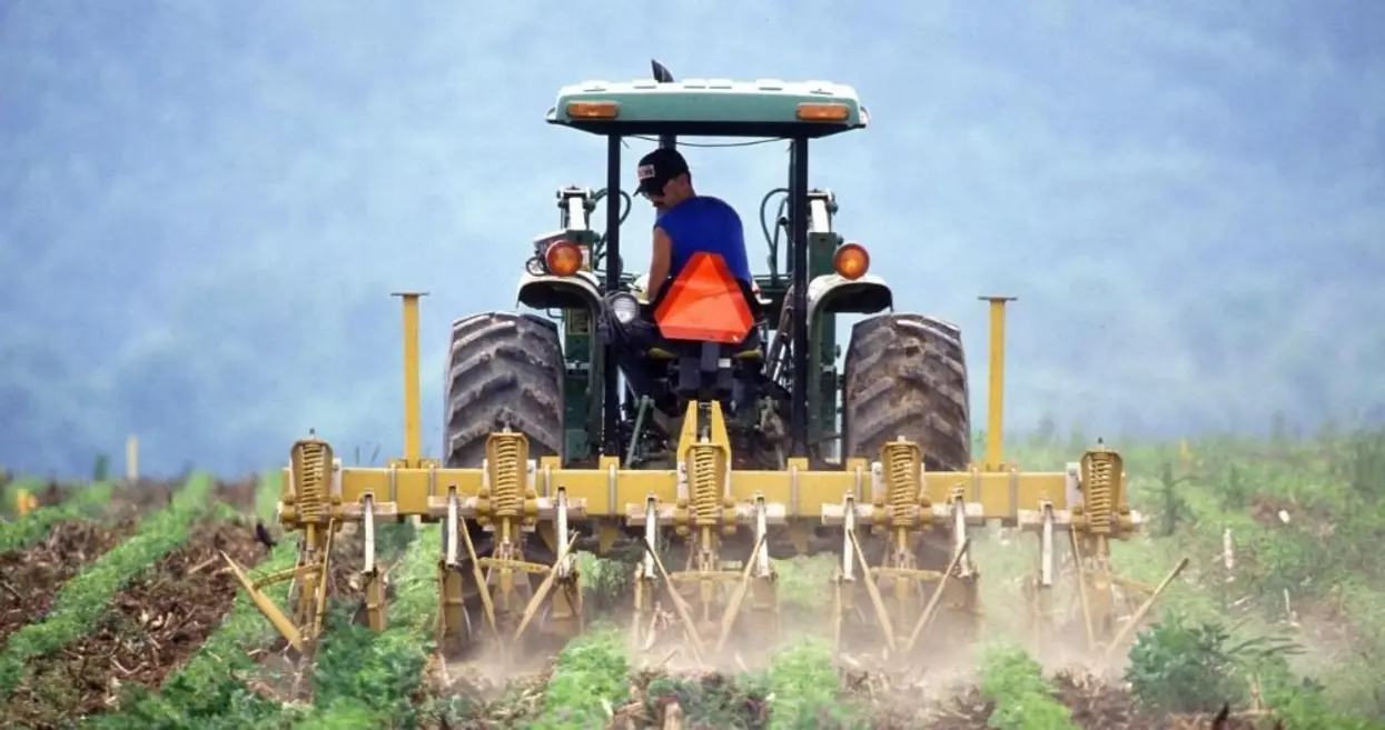 Investimentos do Governo de São Paulo em programas agrícolas impulsionam o setor, oferecendo linhas de crédito com juros baixos para aquisição de máquinas e sistemas de irrigação, reduzindo a carga financeira e aumentando a produtividade e competitividade da agricultura paulista.