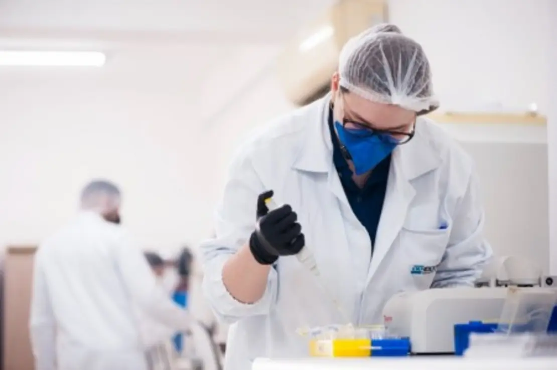 Bactérias usam vitamina C para se defender do sistema imunológico humano, descobre pesquisa. A descoberta abre caminho para novos tratamentos contra infecções, incluindo bactérias resistentes a antibióticos.