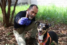 Savana, uma cadelinha abandonada, se transformou em um cão perito especializado em detectar sangue humano para a Polícia Científica de São Paulo, demonstrando que determinação e trabalho duro podem levar a grandes feitos.