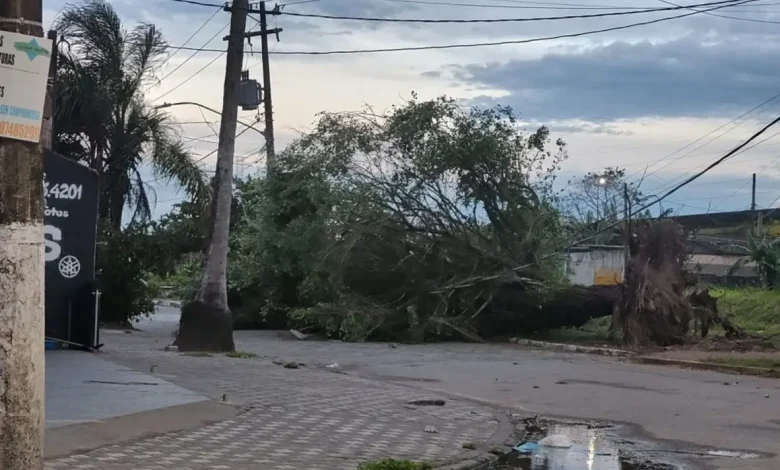 Ciclone Extratropical causa quedas de árvores em São Paulo 1 Ciclone extratropical causa quedas de árvores em São Paulo. Vento forte atinge Santos, Ubatuba, Ilhabela e Mongaguá. Agência SP alerta a população sobre riscos e recomenda cautela.