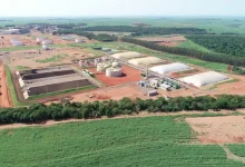 Secretaria de Energia de São Paulo abre consulta pública para criar certificado de garantia de origem para biometano. O objetivo é incentivar a produção e consumo do combustível renovável, garantindo sua origem sustentável e confiabilidade. Contribua com suas sugestões!