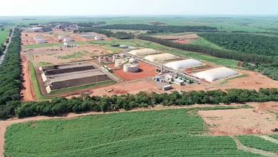 Secretaria de Energia de São Paulo abre consulta pública para criar certificado de garantia de origem para biometano. O objetivo é incentivar a produção e consumo do combustível renovável, garantindo sua origem sustentável e confiabilidade. Contribua com suas sugestões!