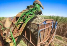 A ameaça de uma tarifa de 50% sobre produtos brasileiros pode levar à perda de 110 mil empregos e perdas bilionárias, afetando a economia e a confiança dos investidores no Brasil.
