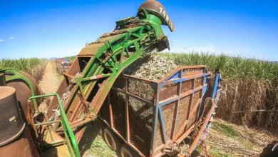 A ameaça de uma tarifa de 50% sobre produtos brasileiros pode levar à perda de 110 mil empregos e perdas bilionárias, afetando a economia e a confiança dos investidores no Brasil.