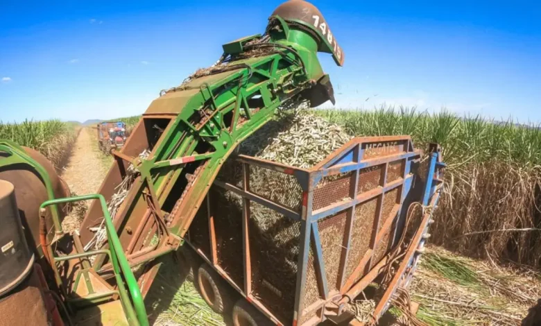 Ameaça de Tarifa sobre Produtos Brasileiros Pode Causar Perdas Massivas 1 A ameaça de uma tarifa de 50% sobre produtos brasileiros pode levar à perda de 110 mil empregos e perdas bilionárias, afetando a economia e a confiança dos investidores no Brasil.