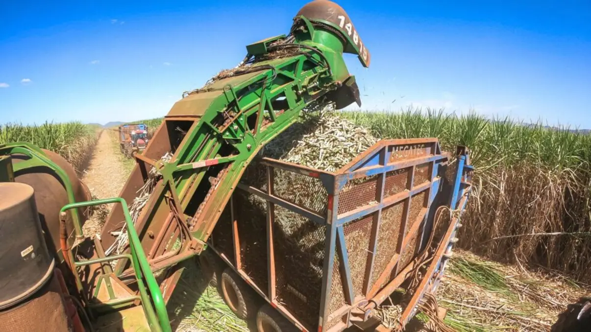 A ameaça de uma tarifa de 50% sobre produtos brasileiros pode levar à perda de 110 mil empregos e perdas bilionárias, afetando a economia e a confiança dos investidores no Brasil.