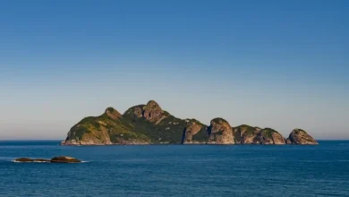Descoberta alarmante: anestésicos comuns em águas costeiras afetam biodiversidade fitoplanctônica, reduzindo a saúde da cadeia alimentar marinha e qualidade da água.