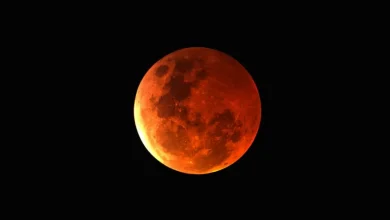 Observa a Lua Cheia do Veado com um tom avermelhado em 10 de fevereiro, um fenômeno lunar raro e único que requer paciência e atenção.