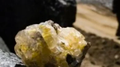 Descoberta inédita de fósforo, urânio e terras raras na Bacia do Rio Parnaíba, Piauí e Ceará. O potencial mineral coloca Brasil entre os mais ricos do mundo, impulsionando a mineração estratégica e a economia.