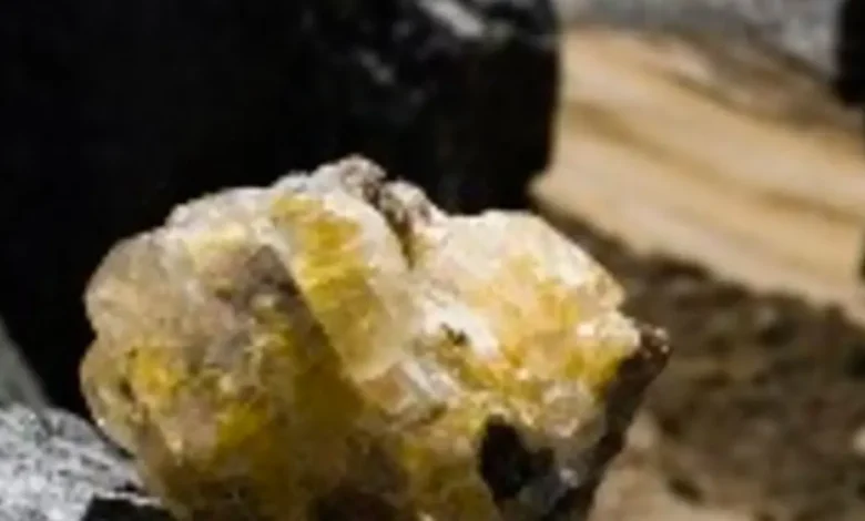 Descoberta inédita de fósforo, urânio e terras raras na Bacia do Rio Parnaíba, Piauí e Ceará. O potencial mineral coloca Brasil entre os mais ricos do mundo, impulsionando a mineração estratégica e a economia.