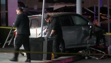 Veículo atropela multidão em East Hollywood, Los Angeles, ferindo mais de 30 pessoas, gerando pânico e desespero na madrugada de sexta-feira.