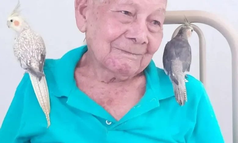 Nota de Falecimento: Pedro Pedroso 6 3193725082025095918.webp