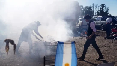 Argentina aumenta compras de carne bovina brasileira, atingindo níveis não vistos desde 1997. A valorização do peso argentino impulsiona a demanda, consolidando a parceria entre os países no setor da proteína animal.