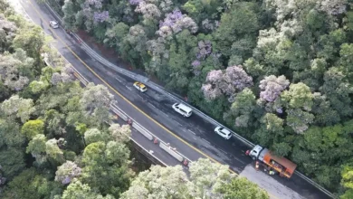 R$ 4,3 bilhões investidos em melhorias para rodovias litorâneas de SP. Obras garantem segurança, pavimentação de qualidade, fluidez do tráfego e monitoramento 24 horas. Duplicação de trechos e construção de marginais aumentam a capacidade e reduzem acidentes. Impulsionando turismo e economia local.