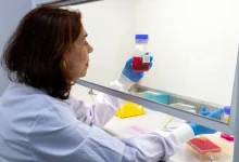 Instituto Butantan desenvolve medicamento inovador com anticorpo licenciado pela Universidade Rockefeller para combater o vírus Zika, especialmente em gestantes. A produção em escala farmacêutica representa um avanço crucial na busca por soluções eficazes para a prevenção e tratamento da infecção.