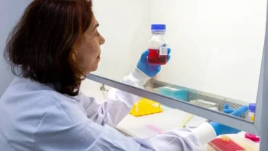 Instituto Butantan desenvolve medicamento inovador com anticorpo licenciado pela Universidade Rockefeller para combater o vírus Zika, especialmente em gestantes. A produção em escala farmacêutica representa um avanço crucial na busca por soluções eficazes para a prevenção e tratamento da infecção.