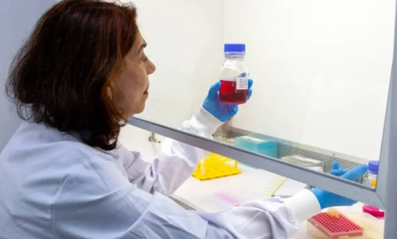 Instituto Butantan desenvolve medicamento inovador com anticorpo licenciado pela Universidade Rockefeller para combater o vírus Zika, especialmente em gestantes. A produção em escala farmacêutica representa um avanço crucial na busca por soluções eficazes para a prevenção e tratamento da infecção.