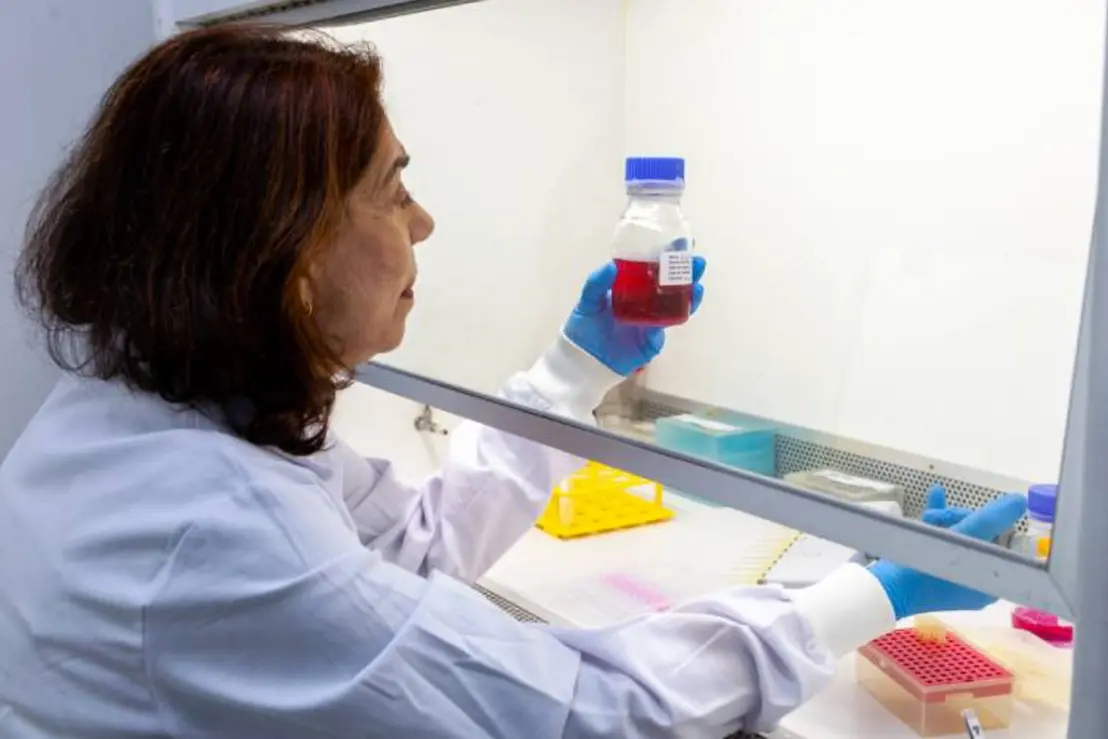 Instituto Butantan desenvolve medicamento inovador com anticorpo licenciado pela Universidade Rockefeller para combater o vírus Zika, especialmente em gestantes. A produção em escala farmacêutica representa um avanço crucial na busca por soluções eficazes para a prevenção e tratamento da infecção.