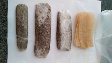 CAPA DROGAS PENITENCIARIA