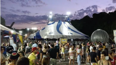 Festival de Circo SP 2023 explode de magia e acrobacias de 28 a 31 de agosto no Engenho Central, Piracicaba! Experimente shows incríveis, performances inesquecíveis e prepare-se para se maravilhar. Confira a programação completa na Agência SP.