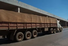 Setor de serviços cresce 0,3% em junho, marcando quinta alta consecutiva e atingindo novo recorde. Pesquisa do IBGE aponta expansão de 2,8% em relação a junho de 2022, impulsionada pelo transporte.