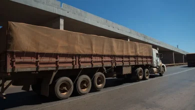 Setor de serviços cresce 0,3% em junho, marcando quinta alta consecutiva e atingindo novo recorde. Pesquisa do IBGE aponta expansão de 2,8% em relação a junho de 2022, impulsionada pelo transporte.