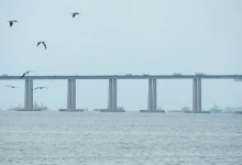 Após 12 anos, o Desafio da Ponte reuniu 8 mil atletas em uma emocionante corrida de 21km entre Niterói e o Rio de Janeiro, com a Ponte Rio-Niterói como destaque. A prova serviu como teste para a candidatura conjunta das cidades aos Jogos Pan e Parapan-Americanos de 2031.