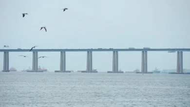 Após 12 anos, o Desafio da Ponte reuniu 8 mil atletas em uma emocionante corrida de 21km entre Niterói e o Rio de Janeiro, com a Ponte Rio-Niterói como destaque. A prova serviu como teste para a candidatura conjunta das cidades aos Jogos Pan e Parapan-Americanos de 2031.