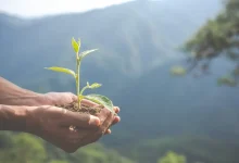 Prêmio SP Carbono Zero já recebeu 154 projetos inovadores para reduzir emissões de carbono em São Paulo. Vencedores serão homenageados em evento especial antes da COP, promovendo soluções sustentáveis para a luta contra as mudanças climáticas.