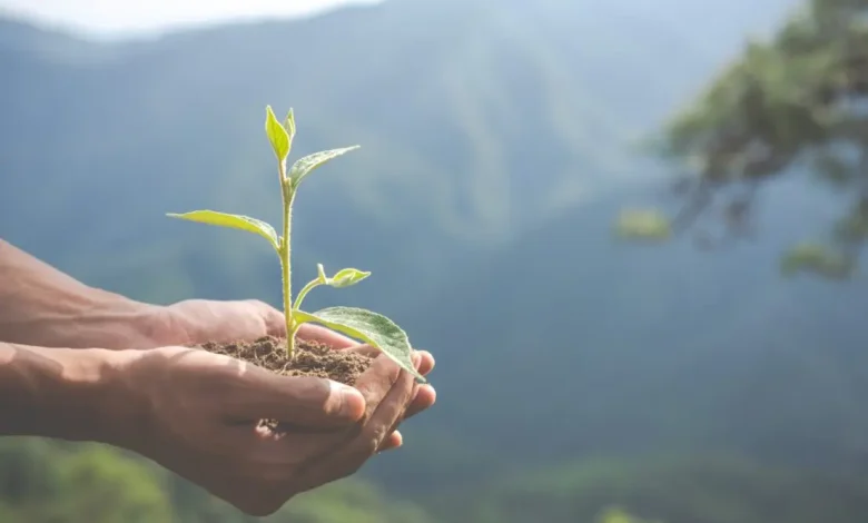 Prêmio SP Carbono Zero já recebeu 154 projetos inovadores para reduzir emissões de carbono em São Paulo. Vencedores serão homenageados em evento especial antes da COP, promovendo soluções sustentáveis para a luta contra as mudanças climáticas.