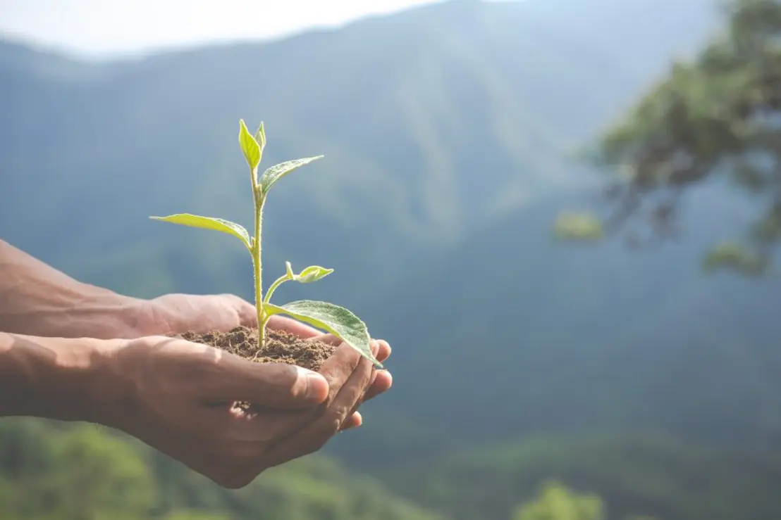 Prêmio SP Carbono Zero já recebeu 154 projetos inovadores para reduzir emissões de carbono em São Paulo. Vencedores serão homenageados em evento especial antes da COP, promovendo soluções sustentáveis para a luta contra as mudanças climáticas.