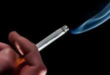 Dia Nacional de Combate ao Fumo: INCA alerta para os 20 milhões de fumantes brasileiros sobre os graves riscos do tabaco e a importância de abandonar o vício. Consequências devastadoras como câncer, doenças cardíacas e respiratórias. Saiba como buscar apoio para parar de fumar.