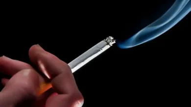 Dia Nacional de Combate ao Fumo: INCA alerta para os 20 milhões de fumantes brasileiros sobre os graves riscos do tabaco e a importância de abandonar o vício. Consequências devastadoras como câncer, doenças cardíacas e respiratórias. Saiba como buscar apoio para parar de fumar.