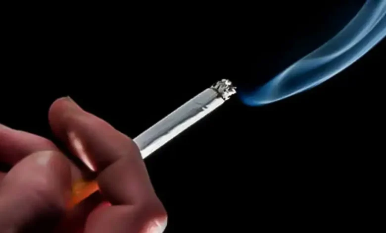 Dia Nacional de Combate ao Fumo: INCA alerta para os riscos do tabaco 1 Dia Nacional de Combate ao Fumo: INCA alerta para os 20 milhões de fumantes brasileiros sobre os graves riscos do tabaco e a importância de abandonar o vício. Consequências devastadoras como câncer, doenças cardíacas e respiratórias. Saiba como buscar apoio para parar de fumar.